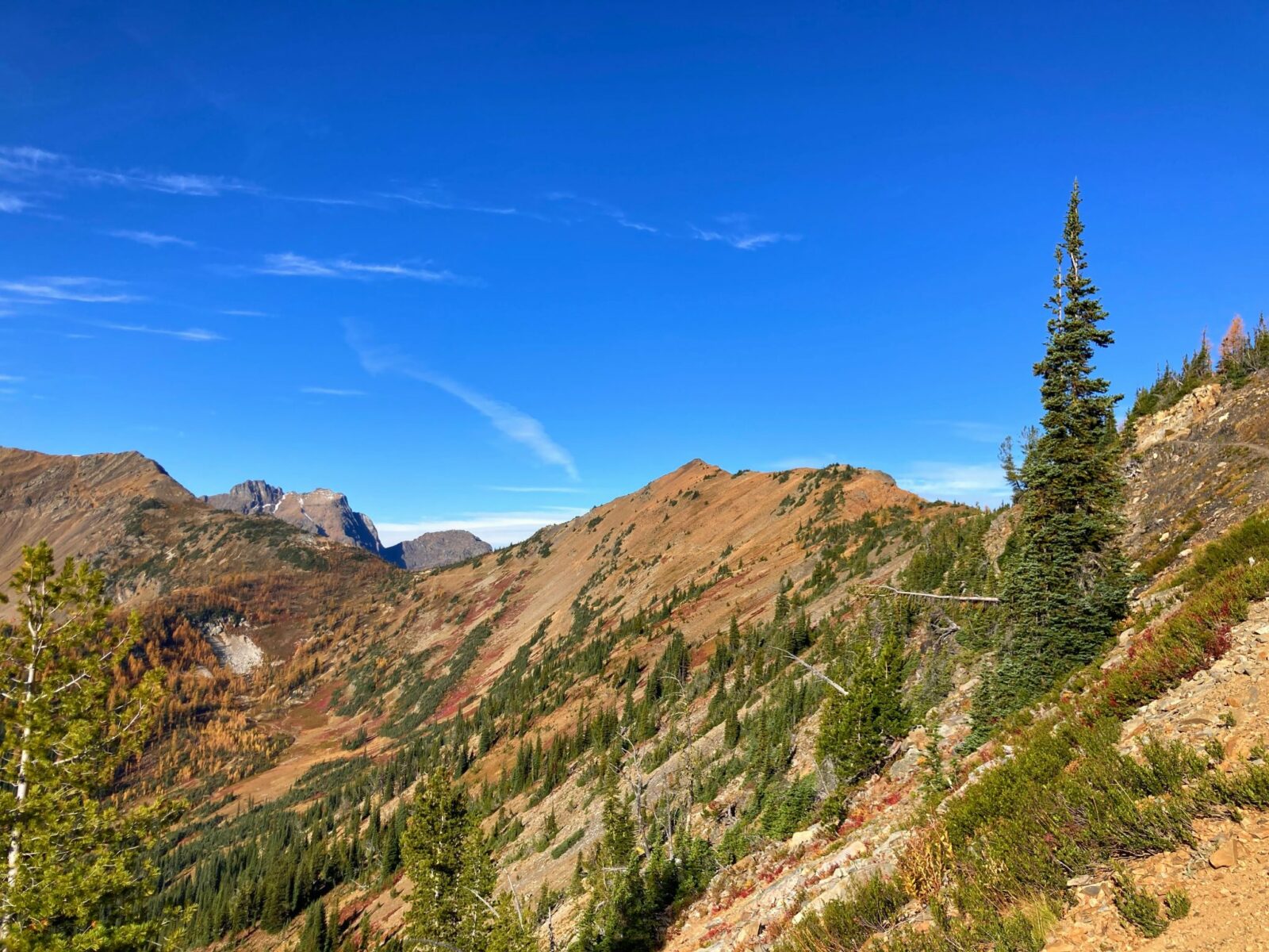 Rocky distant mountains with evergreen trees in the foreground along the Pacific Crest Trail on the way to Grasshopper Pass