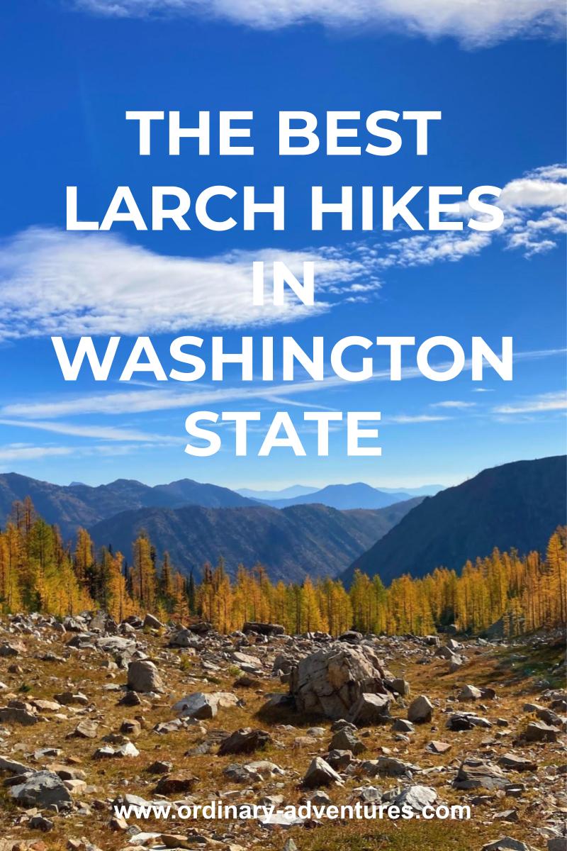 Distant mountains with golden larch trees in the foreground along a rocky trail. Text reads: The best larch hikes in washington state