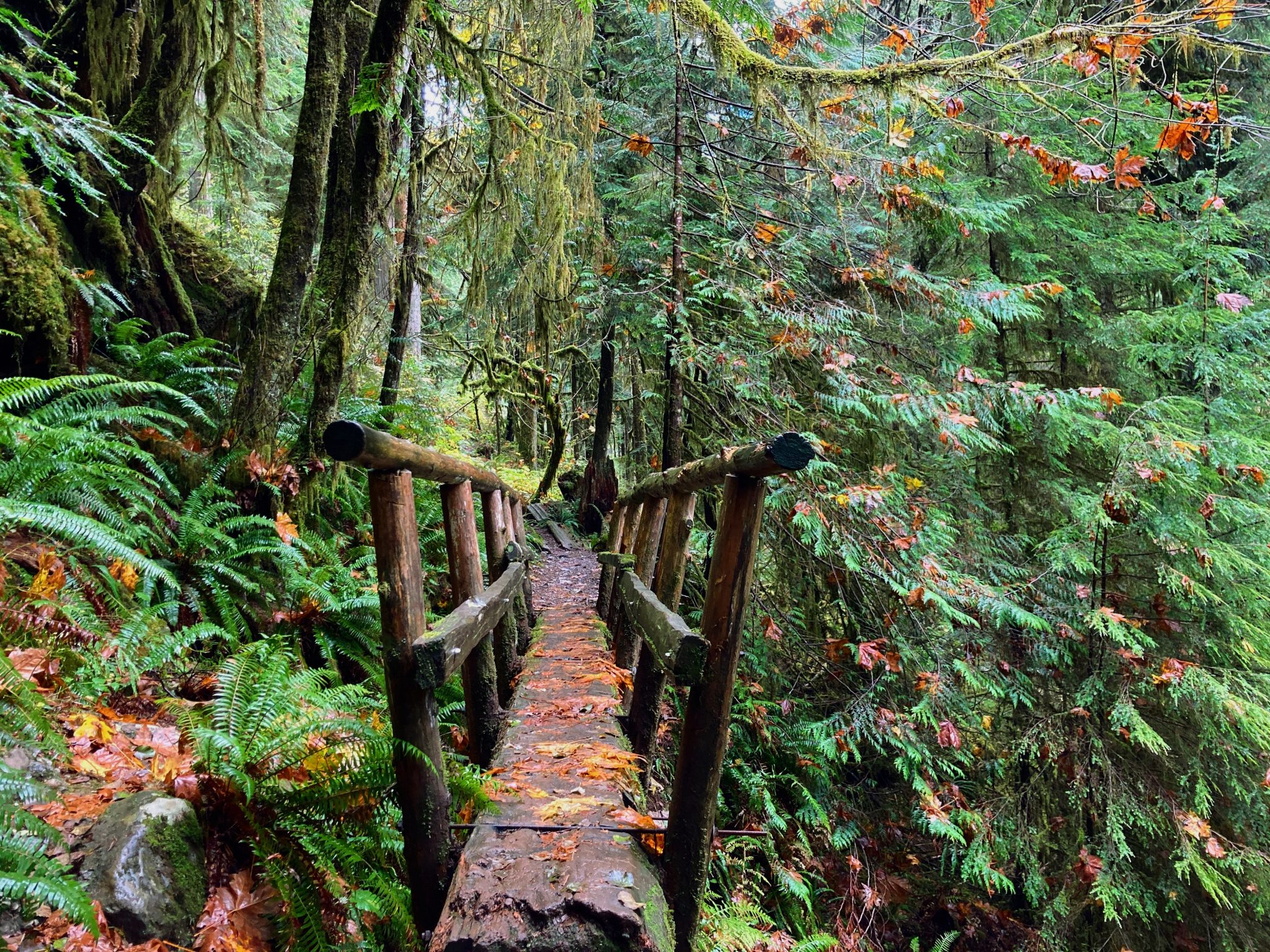 Boulder River Trail Stunning Forest And Waterfalls Ordinary Adventures