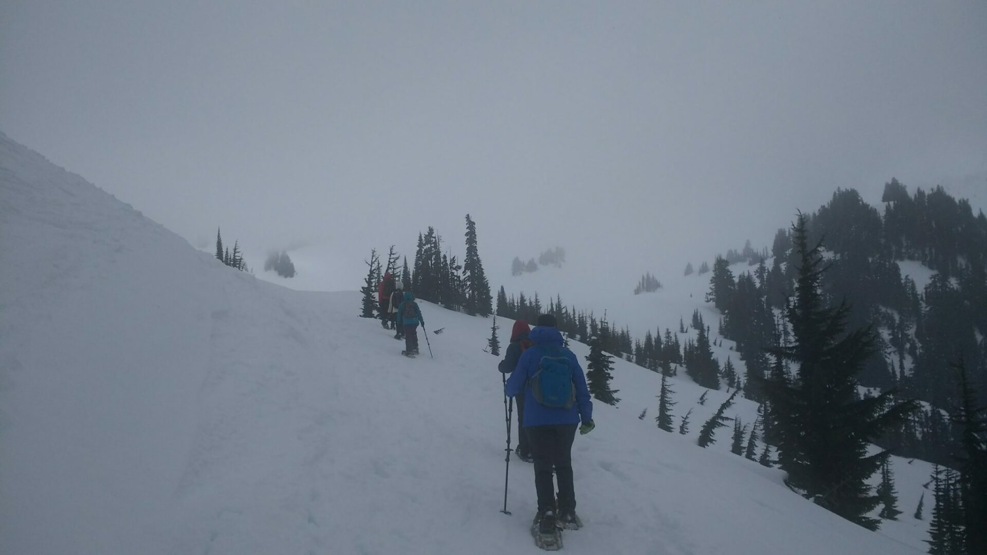 Hikers snowshoe Mt Rainier National park on a cloudy and foggy day. The hikers have rainjackets and trekking poles and are walking up a slope near evergreen trees