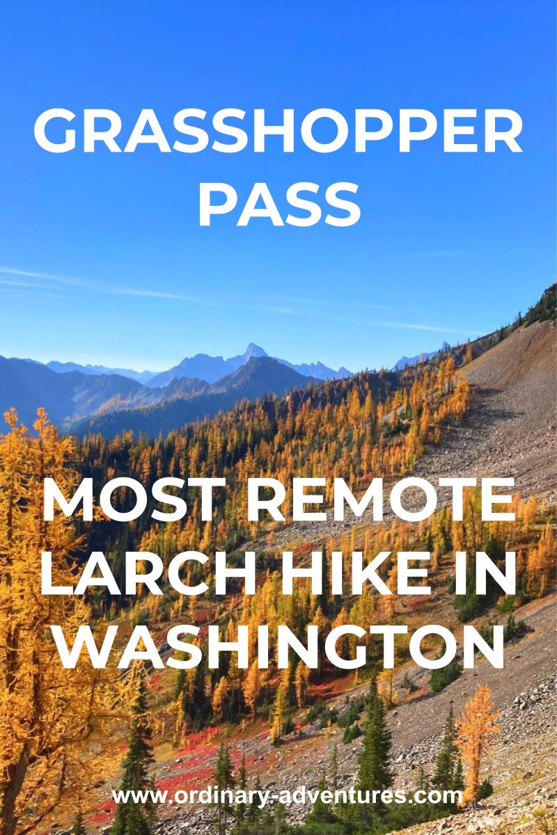 distant mountains and golden trees. Text reads: Grasshopper Pass most remote larch hike in Washington