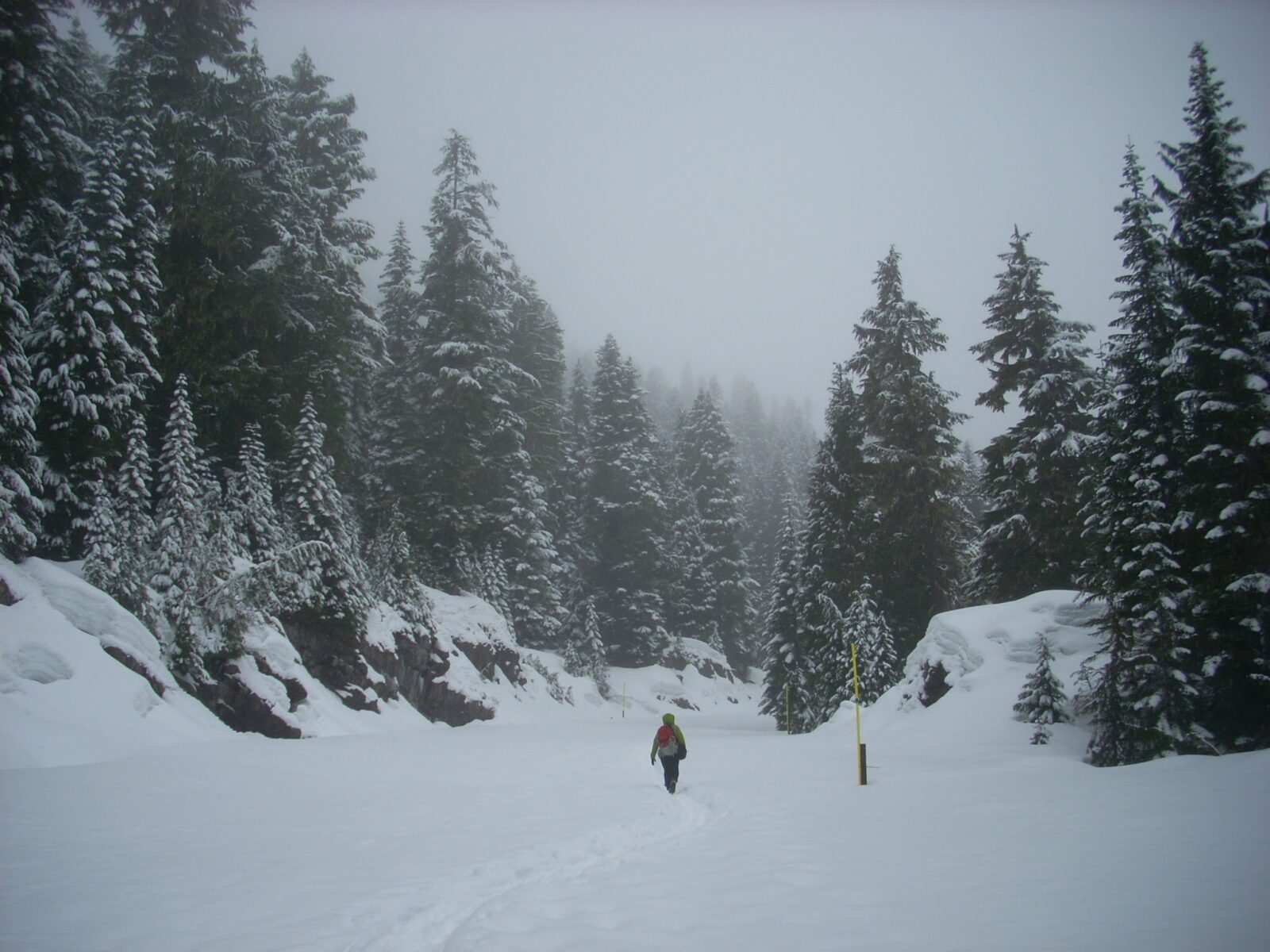 A hiker snowshoeing a closed round through a forest of snow covered evergreen trees