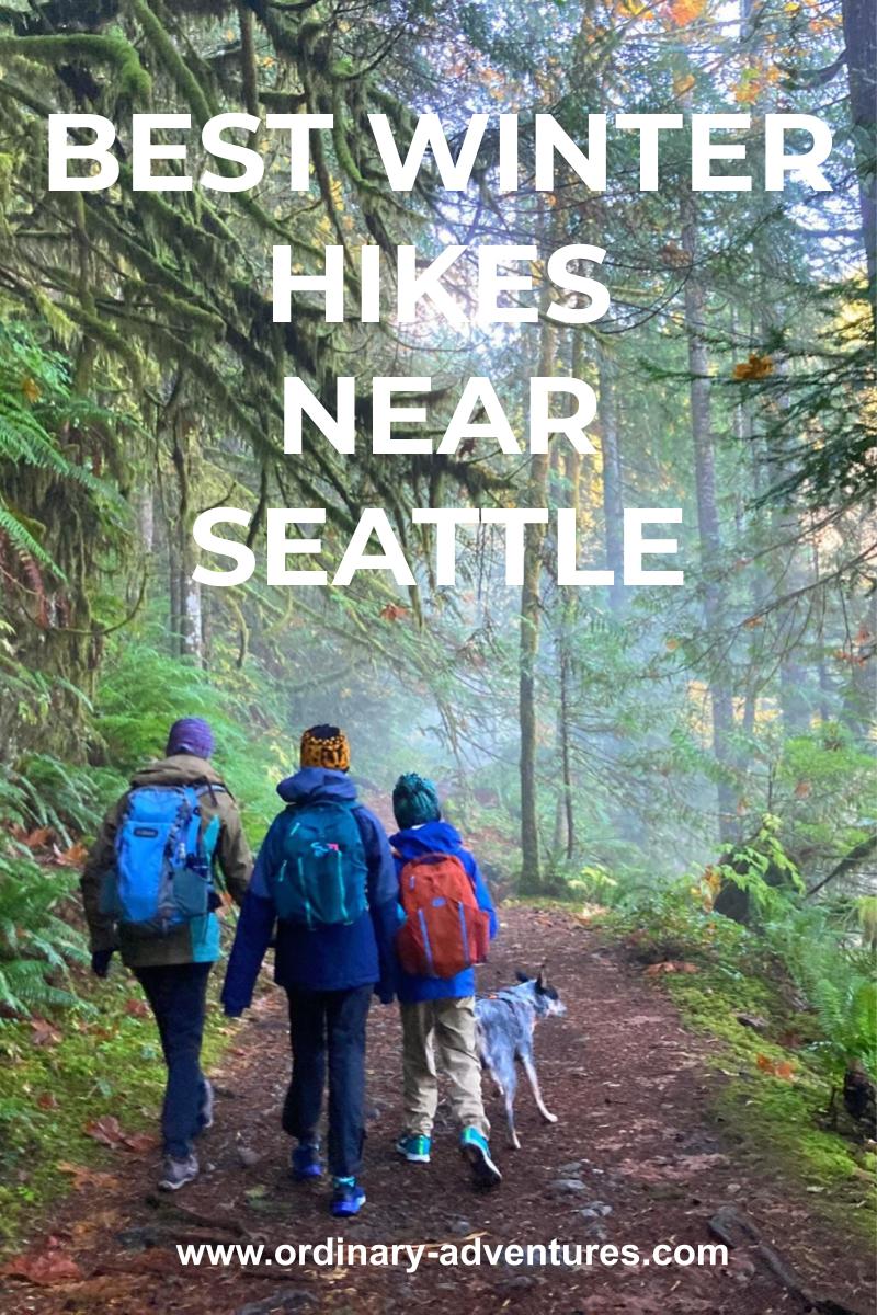 A foggy green forest with a wide trail. Three hikers and a dog are walking away from the camera into the forest. Text reads: Best winter hikes near seattle