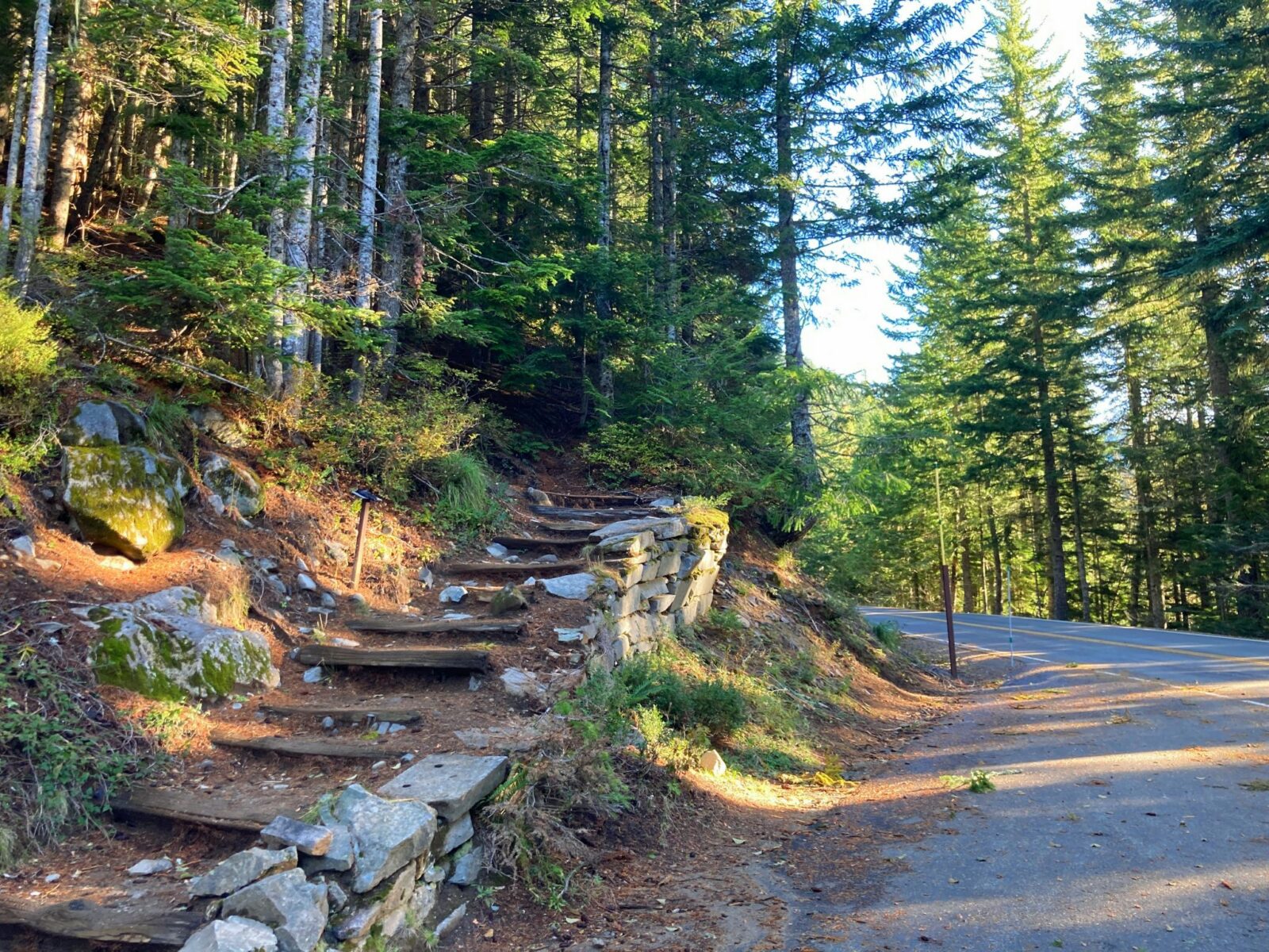 A stone wall lines the side of a trail with wooden steps going into a forest next to a two lane road.