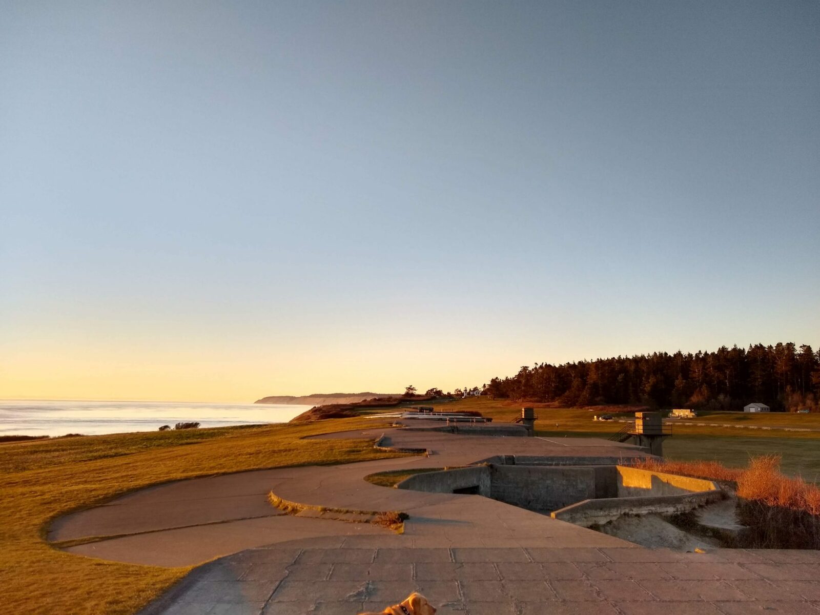 Concrete bunker remains in the foreground and grass and a few buildings beyond. In the distance is a forest, a bluff and water extending into the distance