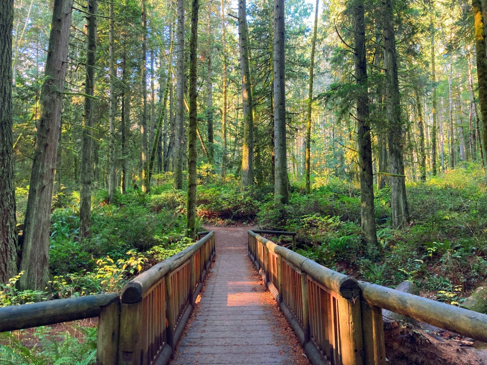 Hiking is one of the best things to do on Bainbridge Island. In Grand Forest, there are second growth evergreen trees, undergrowth and a narrow log pedestrian bridge