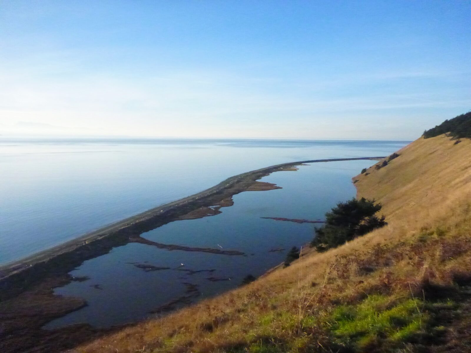 A sandy spit on the beach encircles a lagoon. It is seen from above from a grassy hillside on a Whidbey Island hike. There is blue calm water stretching away into the distance on a sunny blue sky day