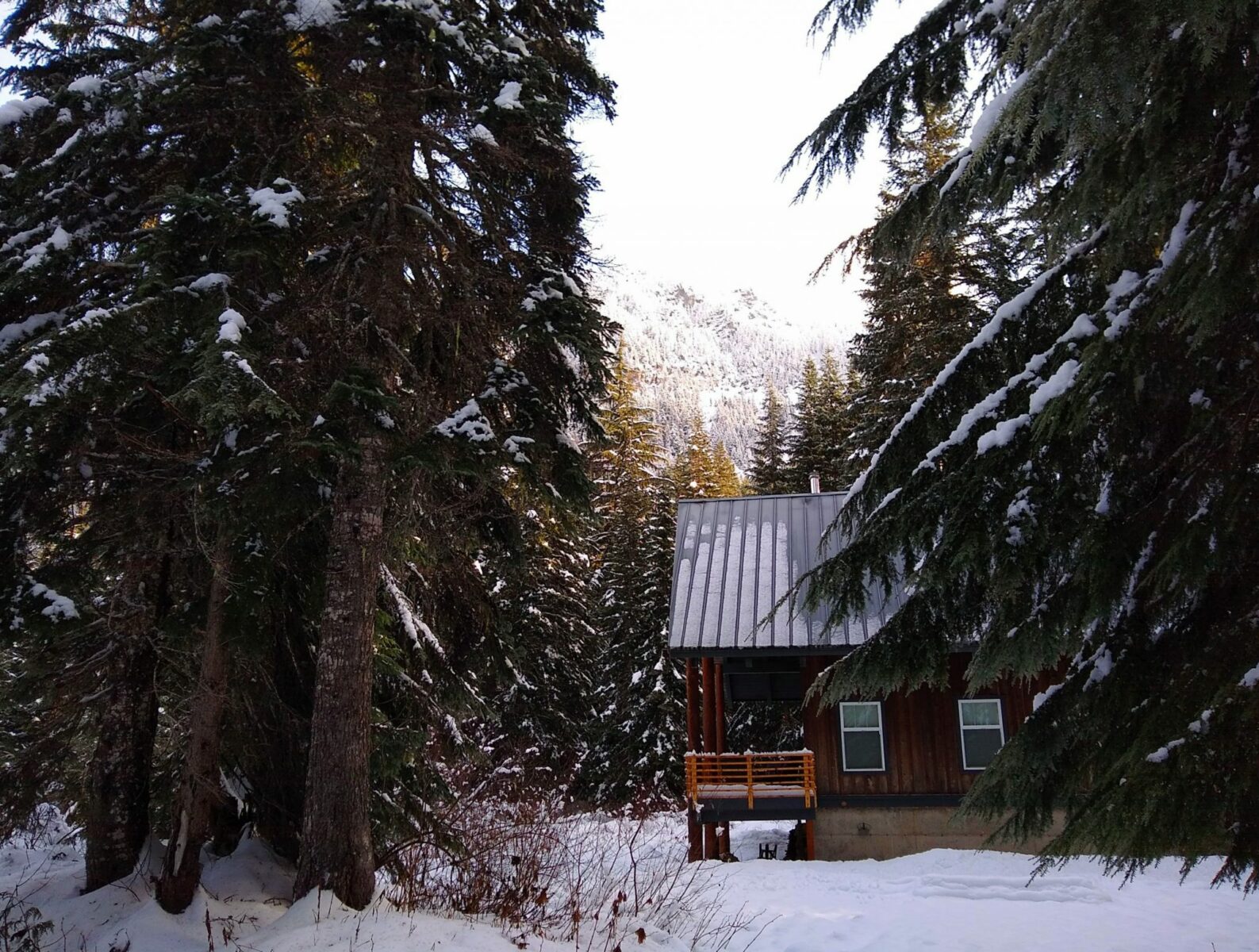 A wooden cabin with a metal roof and a covered porch is surrounded by snow on the evergreen forest and the ground along the gold creek valley snowshoe route. In the distance is a snowy mountain