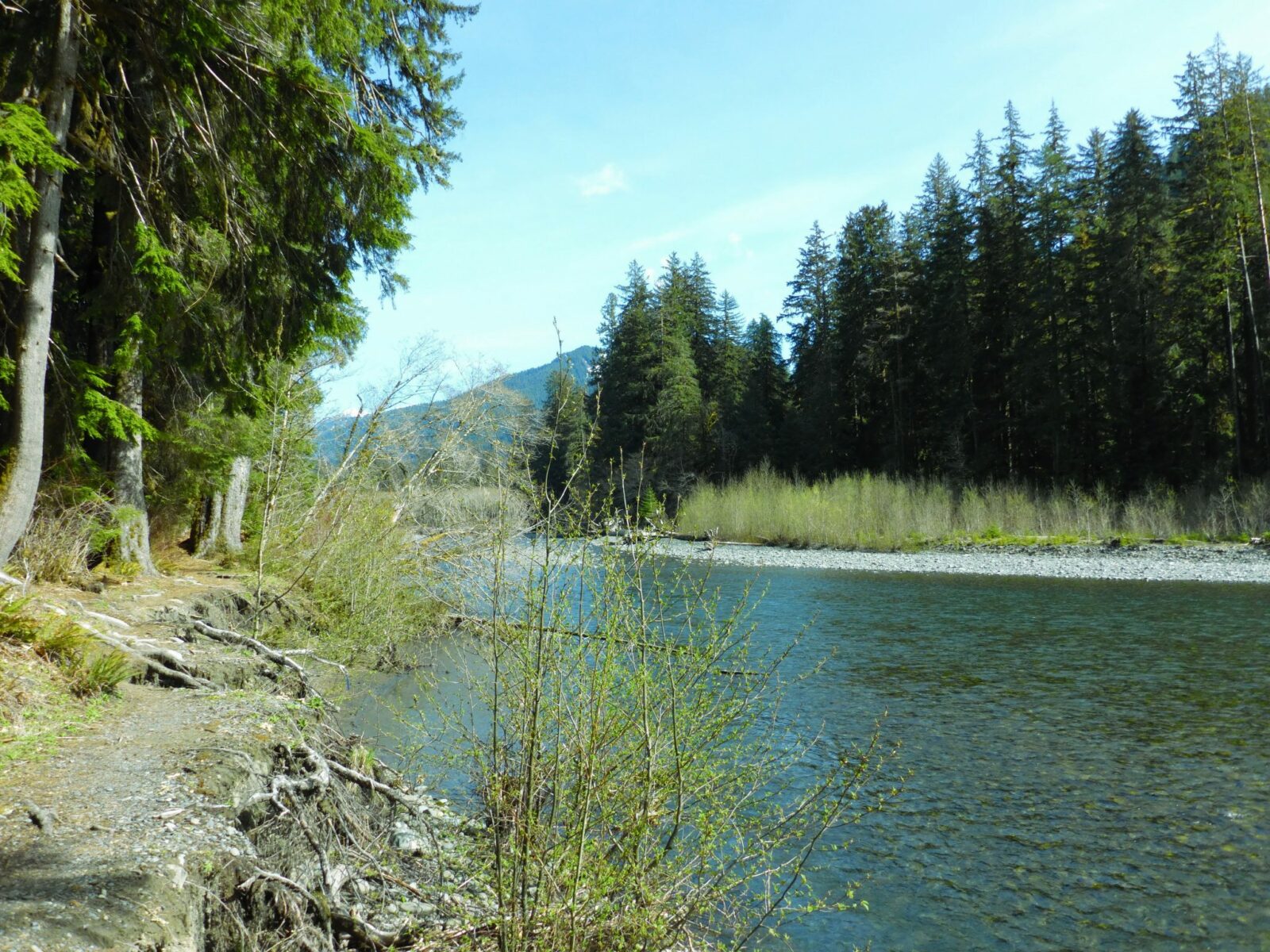 Hoh river hotsell trail camping