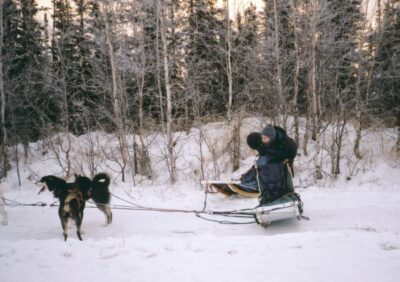 A person in winter gear holding on to a dog sled. Two dogs are seen attached to the harness. It's a snowy partly cloudy day and there are trees in the background