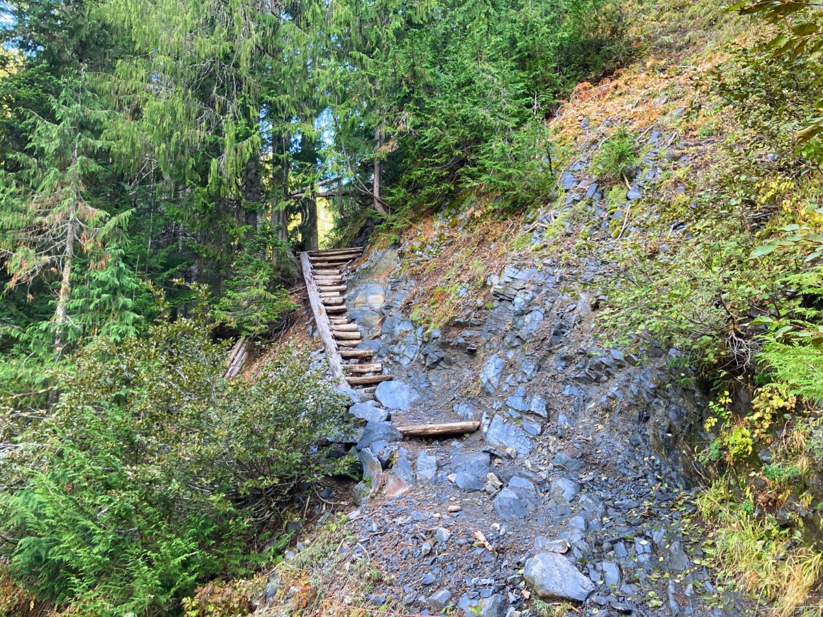 Log steps are built into the side of rocks entering a forest