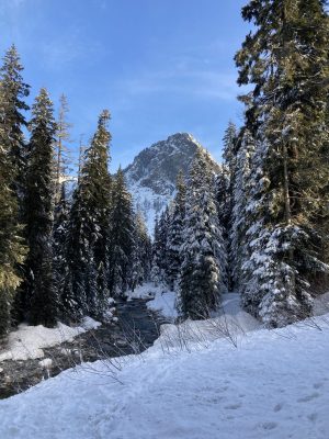 A rocky mountain with fresh snow in the distance beyond a creek. The creek is not frozen but is flowing between snow covered banks and evergreen trees