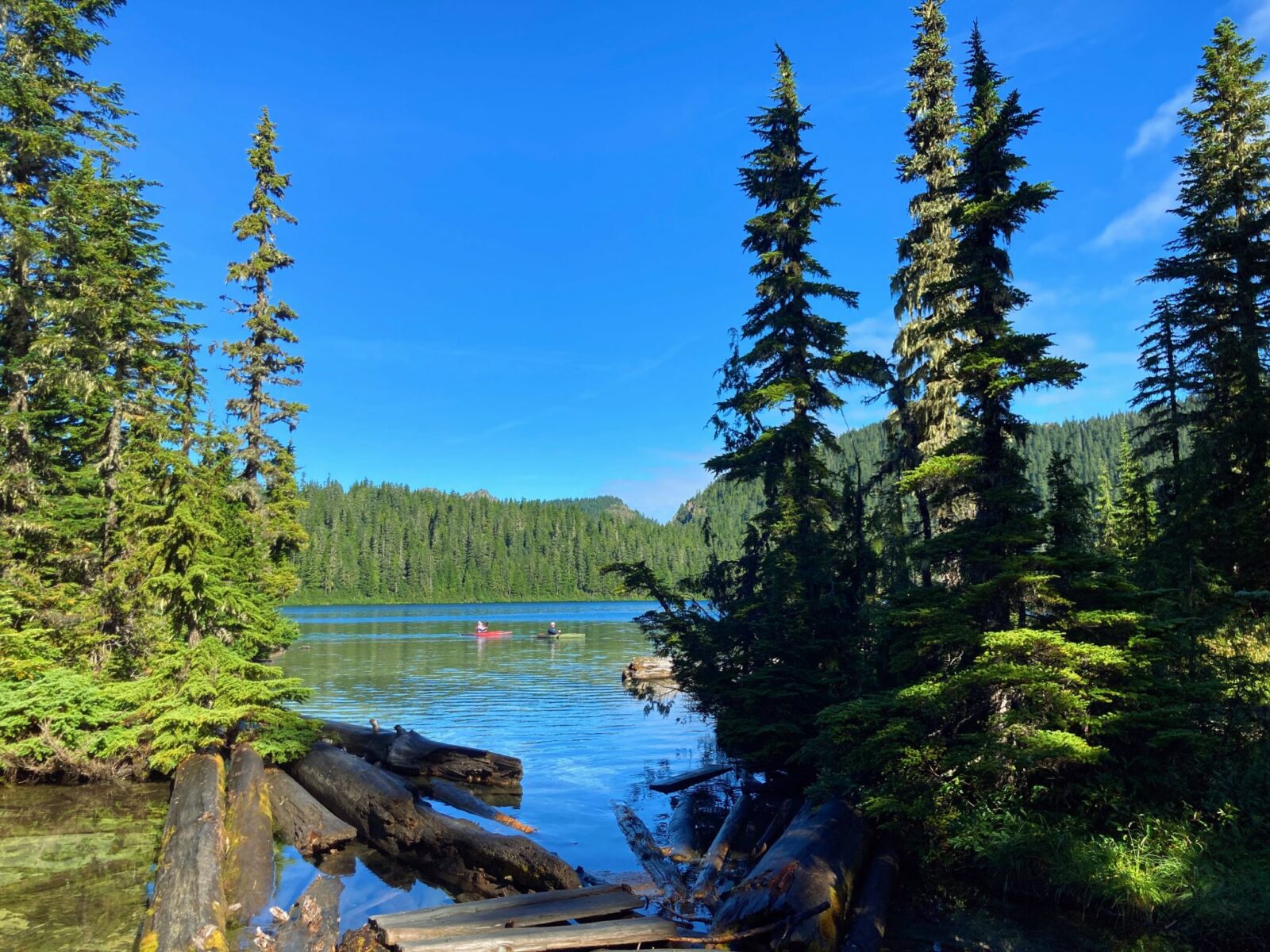 Two kayakers in the distance on Mowich Lake, a remote lake in Mt Rainier National Park. In the distance are forested hillsides and in the foreground are a few logs and some sub alpine firs.