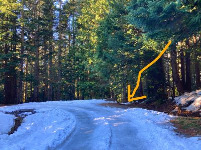 An icy closed road on the trail to Franklin Falls in winter. The road is surrounded by forest. A yellow arrow points to the position of the trail, which is very hard to see in winter