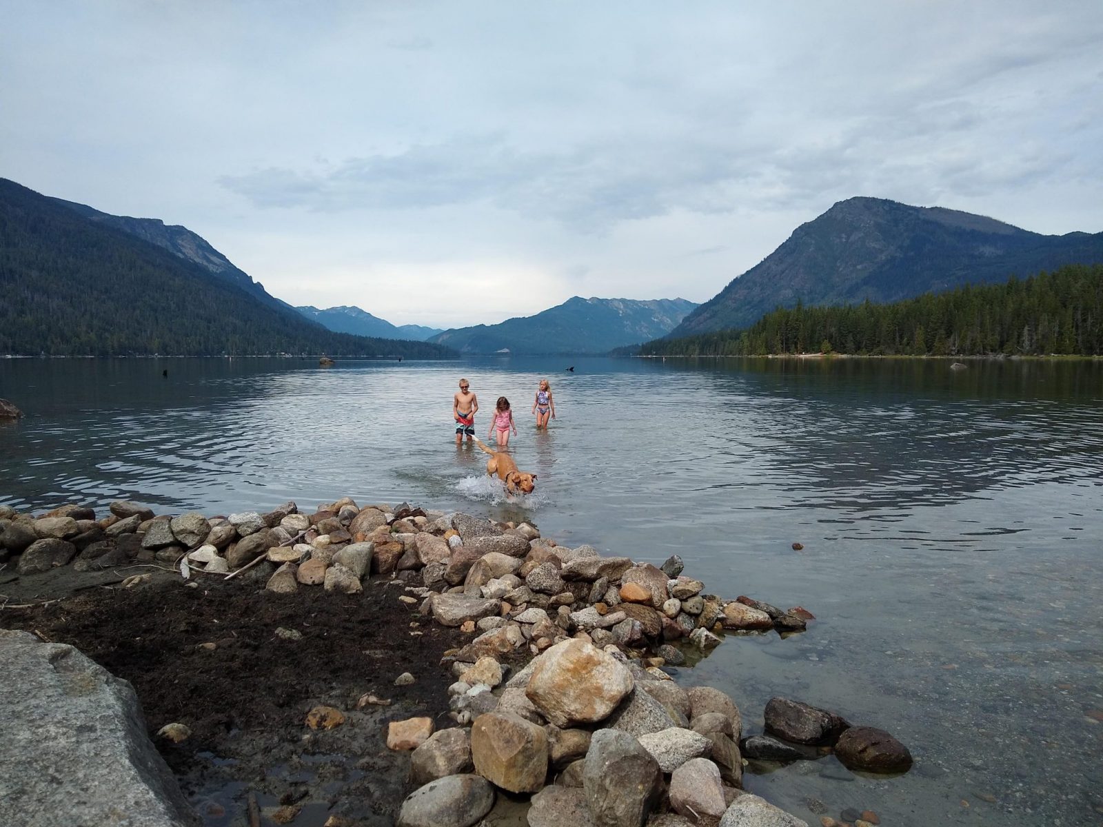 Three kinds and a dog playing in the water at the rocky shore of lake wenatchee on an overcast day. Across the large lake there are forested hillsides and mountains