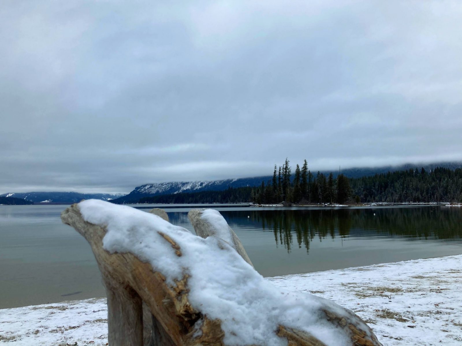 Lake Wenatchee on an overcast winter day. The lake is not frozen but it is surrounded by snow. There are also snowy trees aroudn teh lake and a piece of snow covered driftwood in the foreground