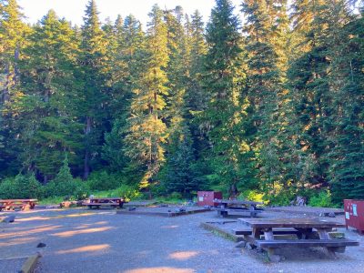 A grave campground surrounded by forest. There are picnic tables and brown metal bear safe lockers