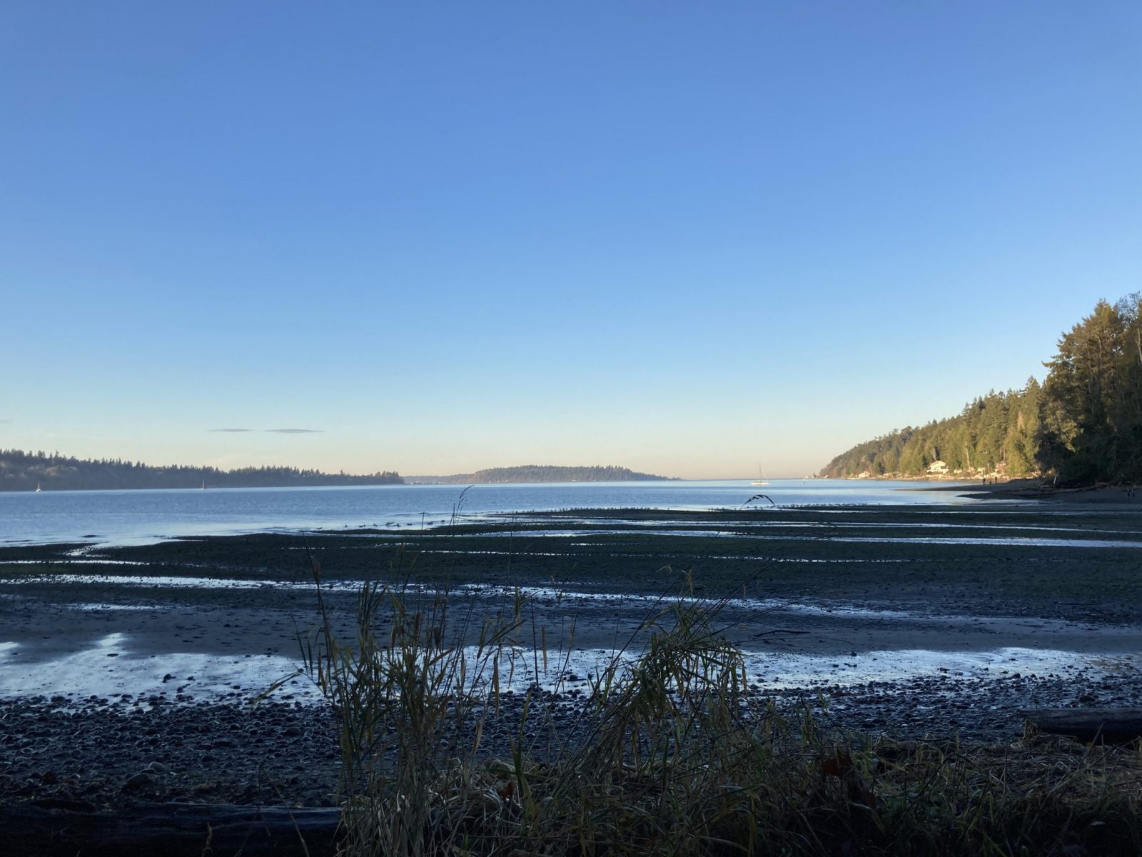 Fern Cove in the Shinglemill Creek Preserve on Vashon Island. The tide is out and the beach is wide with a stream entering the cove. There are distant islands and nearer by forest. It's a sunny day just before sunset