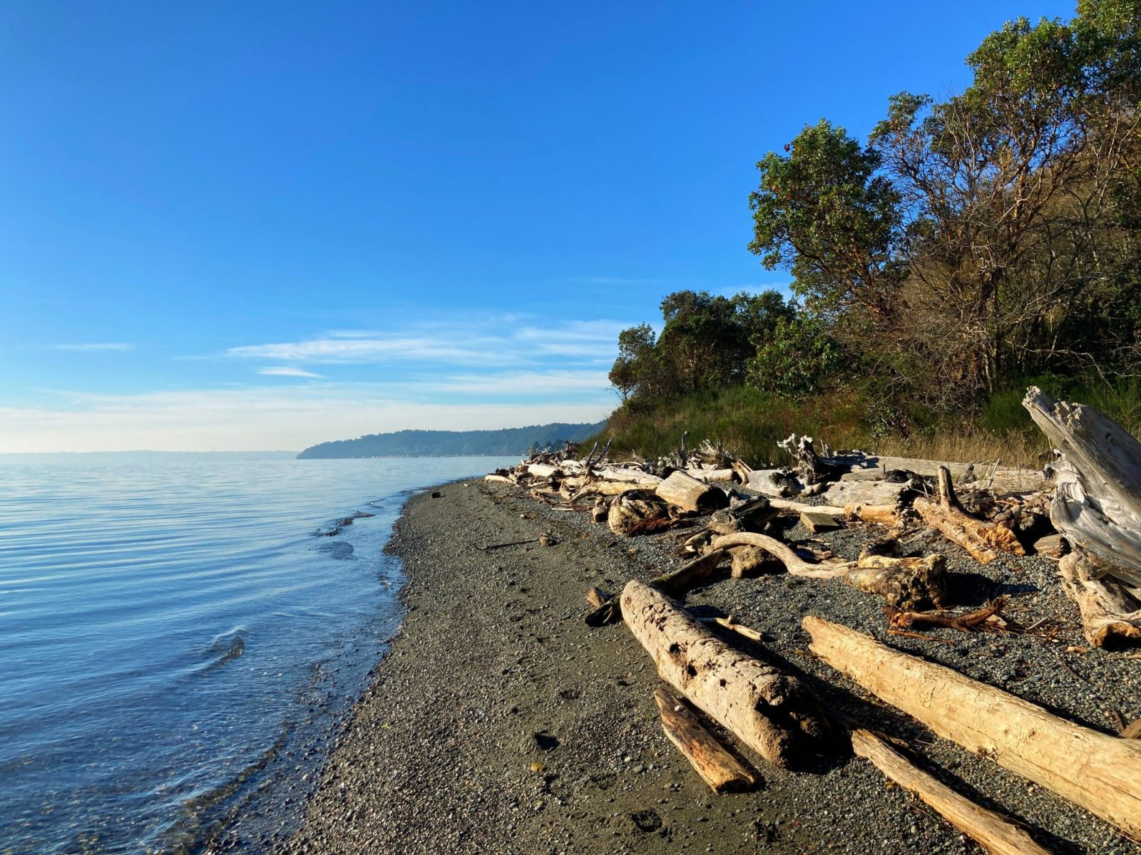 A gravel beach on a Vashon Island Hiking trail in Maury Island Marine park. There is driftwood on the beach and trees behind it on the right. To the left is the calm water of the Salish Sea. A distant island is visible in the background. It's a sunny day.