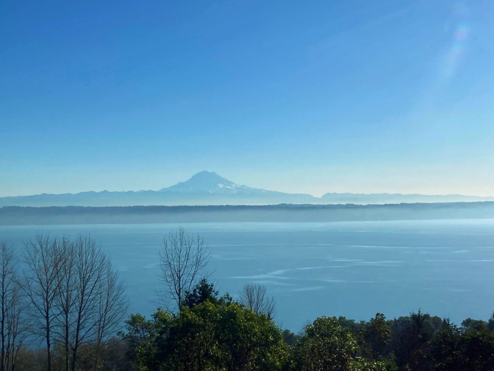 Mt Rainier in the distance across the water on a sunny day. In the foreground are trees from one the Vashon Island hiking trails