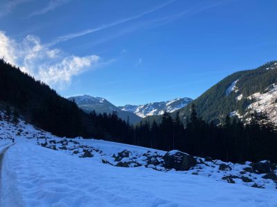 A snowy open landscape with distance snowy and forested mountains on a blue sky day