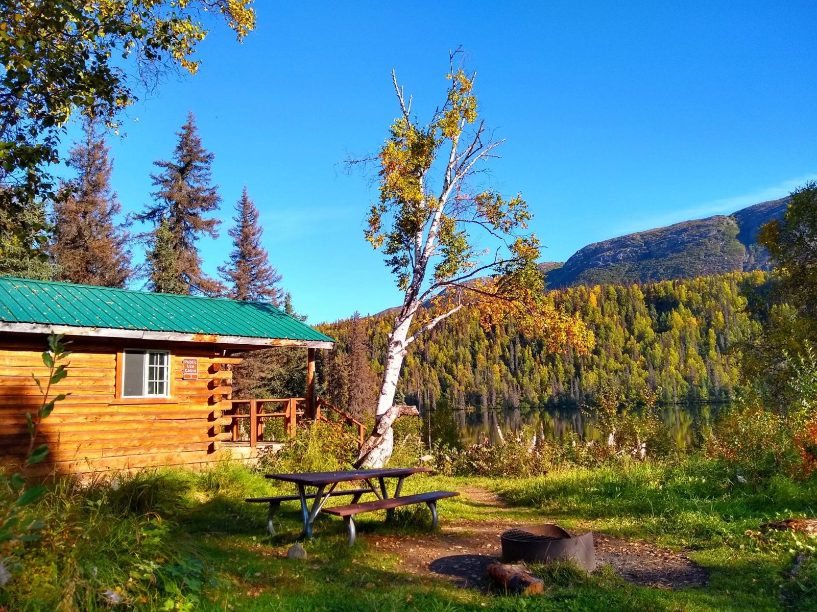 Camping in Alaska at the Byers Lake Cabin in Denali State park. It's a log cabin with an open window, a green metal roof and a porch with a railing facing a calm lake. The lake is surrounded by trees and there is a fire ring and a picnic table in the foreground