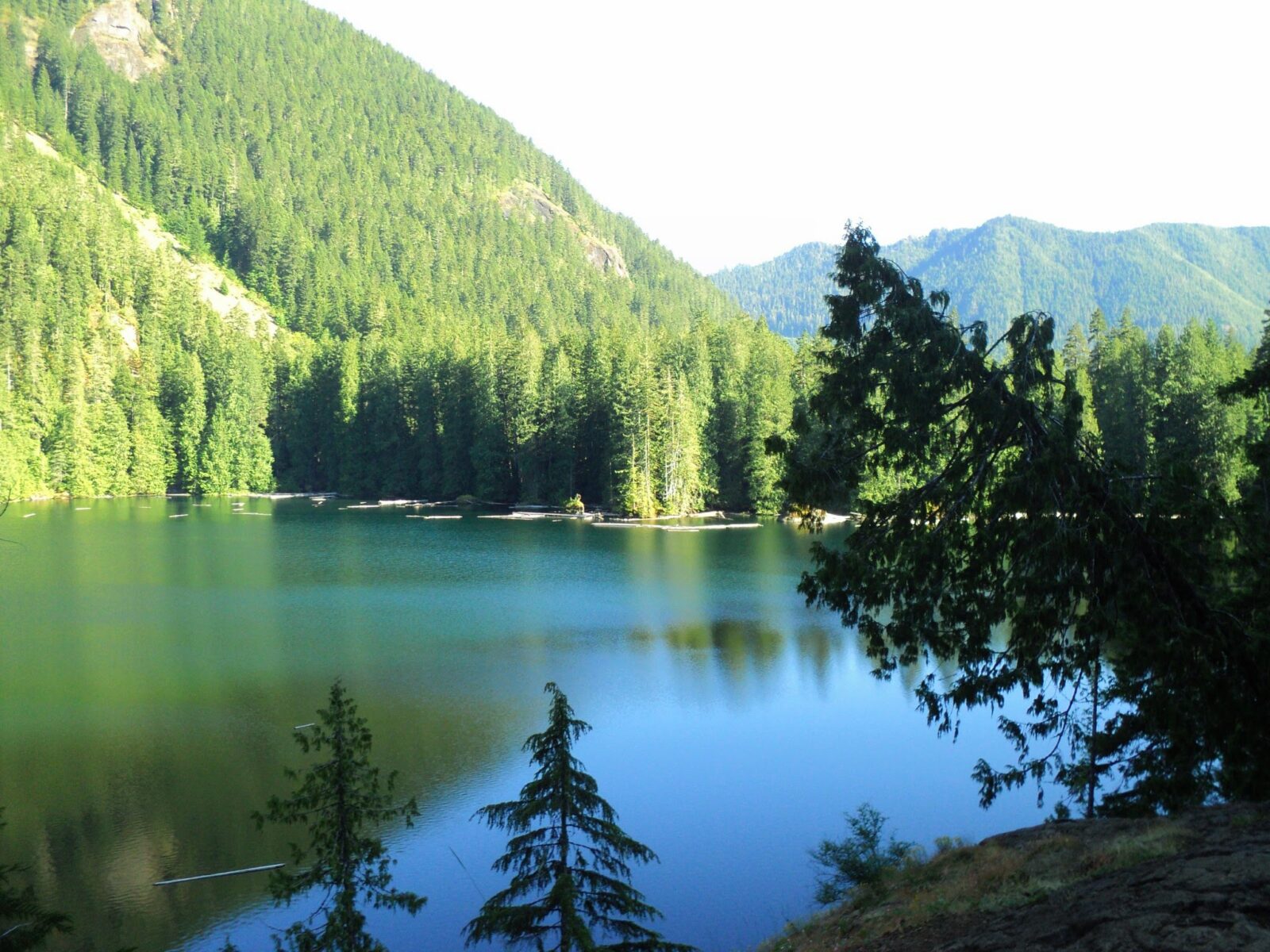 A calm alpine lake on a sunny day surrounded by evergreen trees.