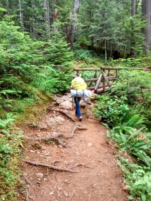 The Lena Lake Trail through the forest. The trail has some roots and is approaching a log bridge. There is a backpacker about to cross the bridge
