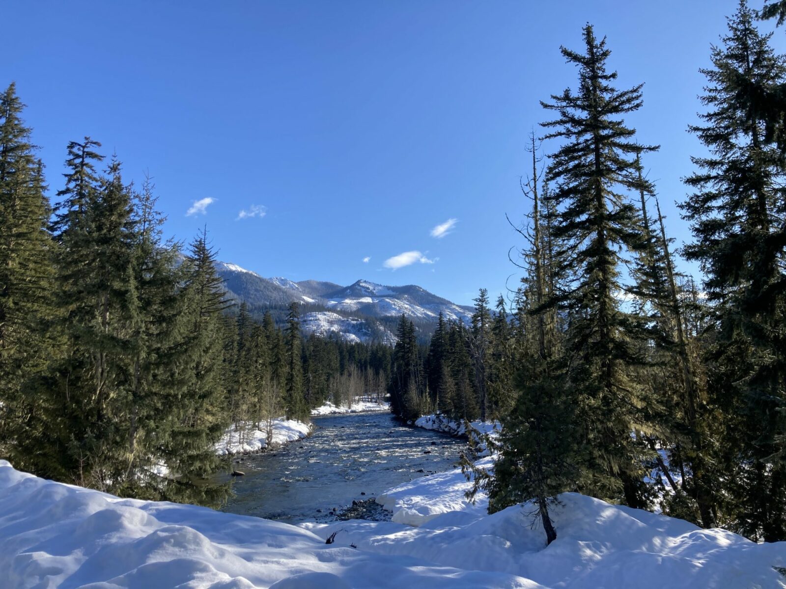 Blue sky with distant low snowy mountains. In the foreground there are evergreen trees and snow around a fast moving river in the Salmon La Sac sno park near cle elum