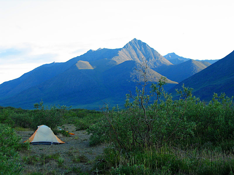 Distant bare mountains and willows in the foreground around a yellow and white tent camping in Alaska in Gates of the Arctic National Park