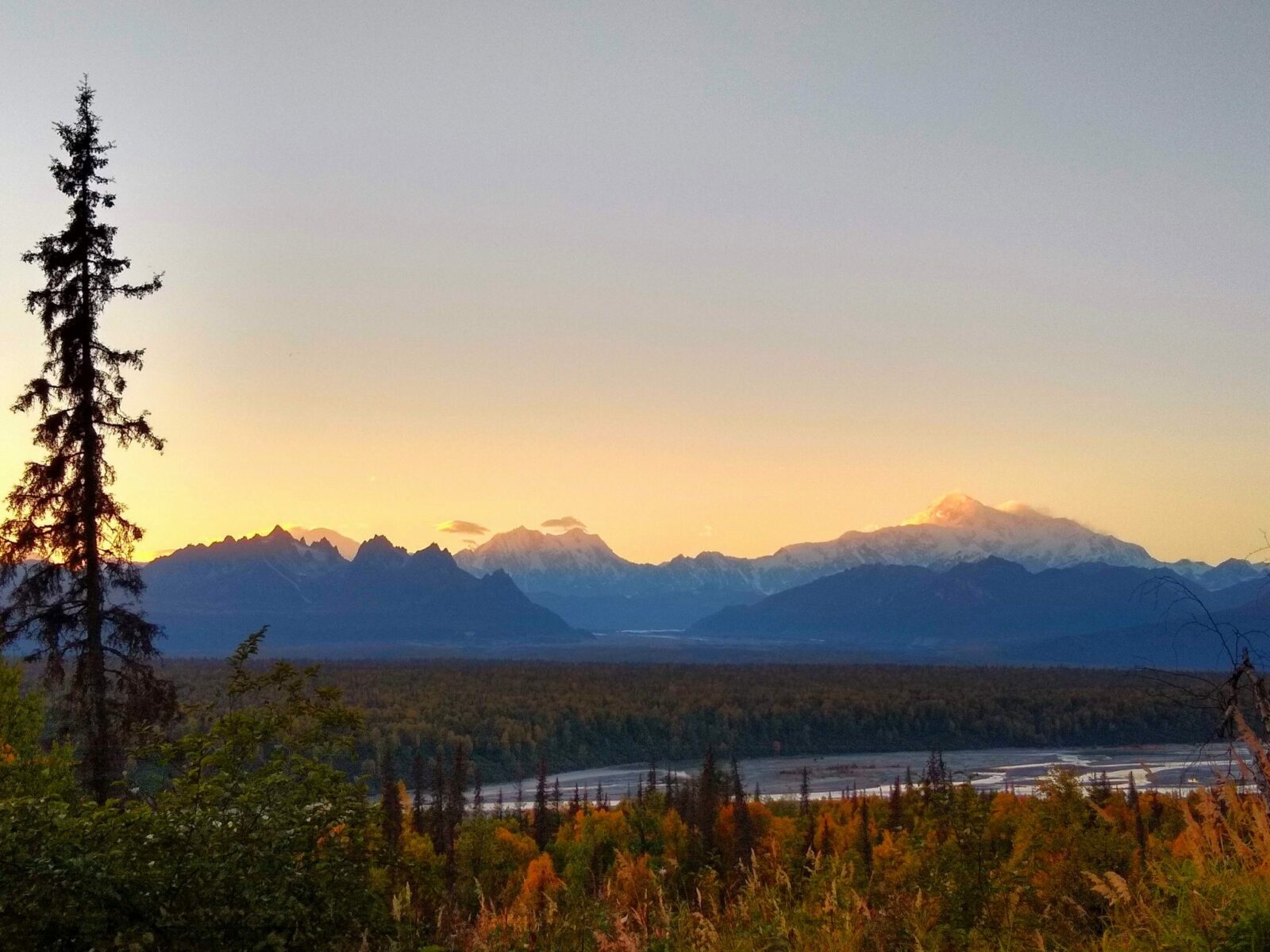 camping in alaska at denali state park with views of denali and other mountains of the alaska range at sunset. The Susitna river is in the distance and evergreen trees and orange fall shrubs are in the foreground