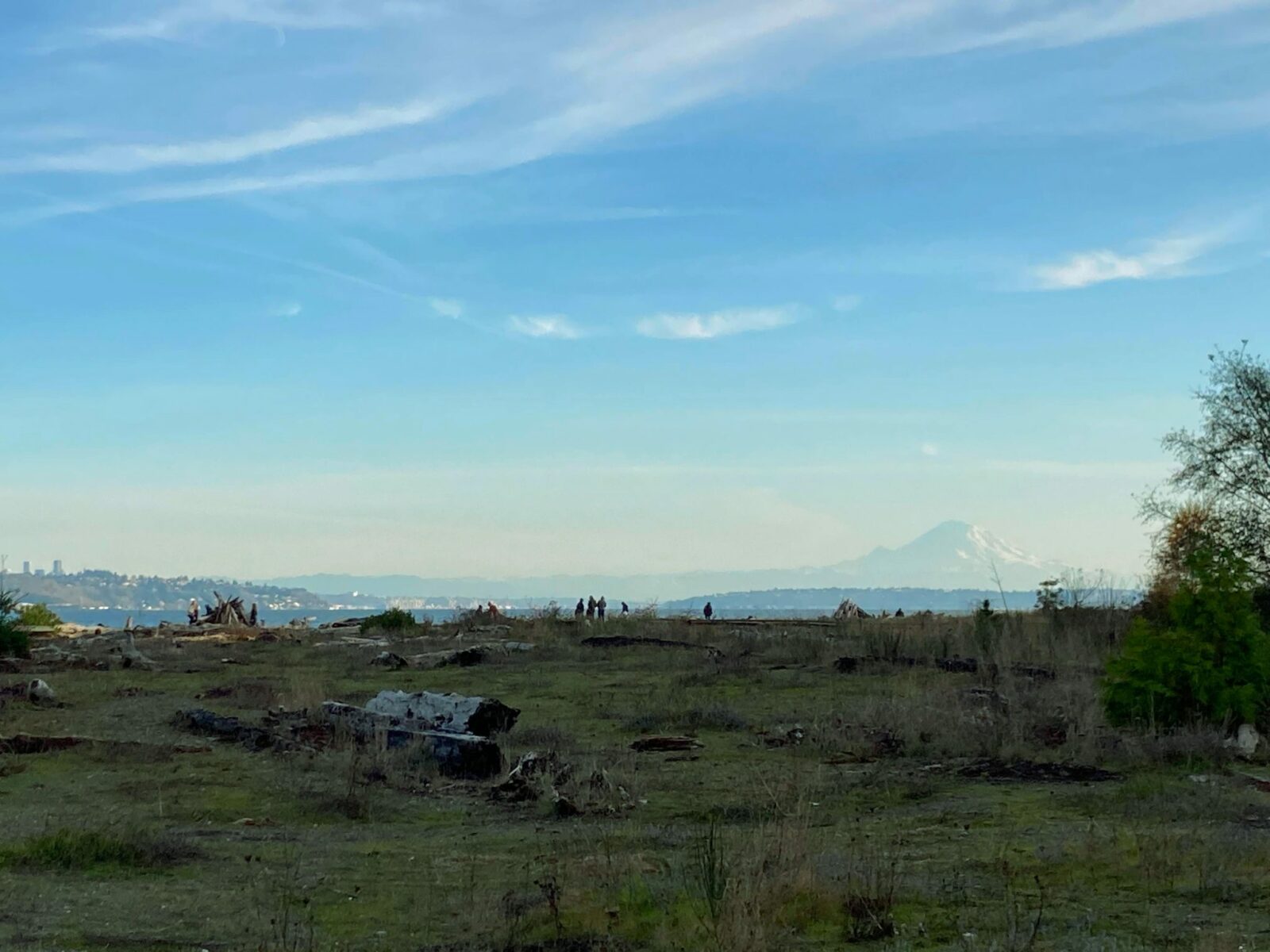 One of the best things to do on Bainbridge Island is visit Faye Bainbridge Park. The park has grass, driftwood and people are walking along the beach. You can see the water and mountains and a city in the distance