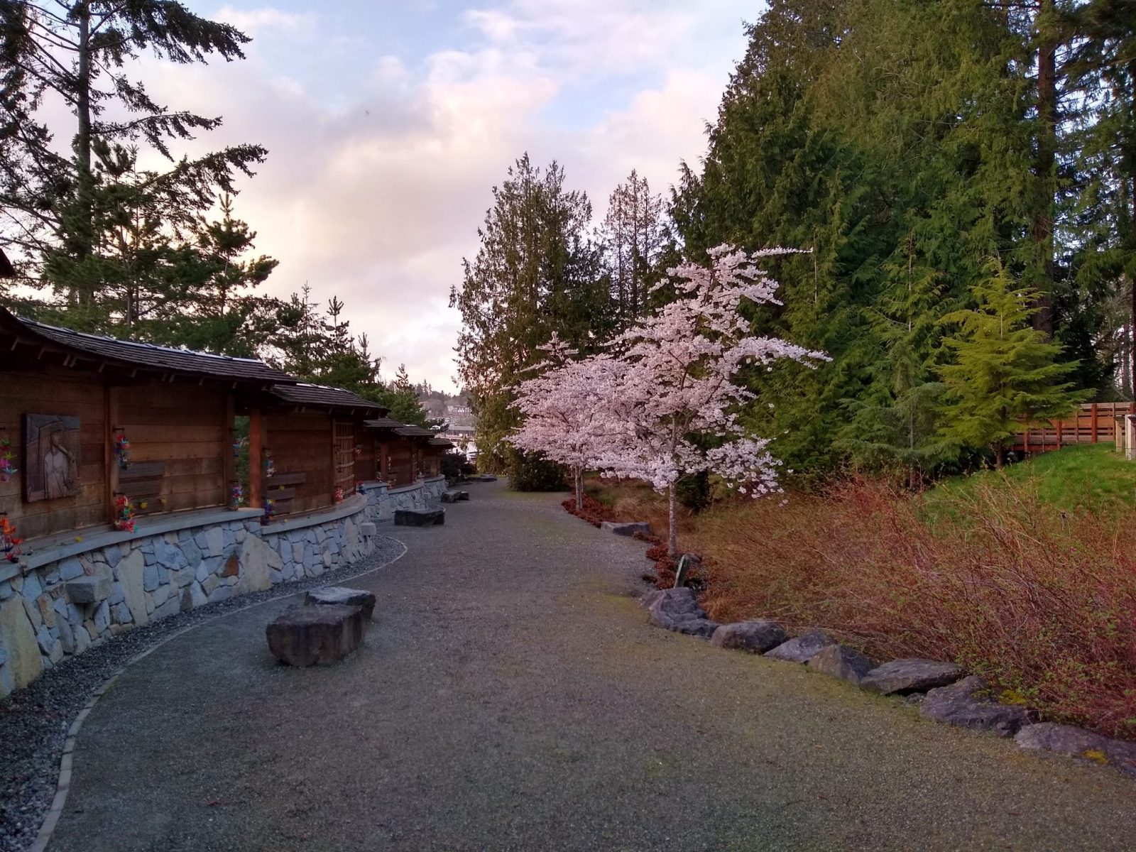 A gravel path lined with rocks and a wooden memorial along the side. The other side has flowering trees and evergreen trees