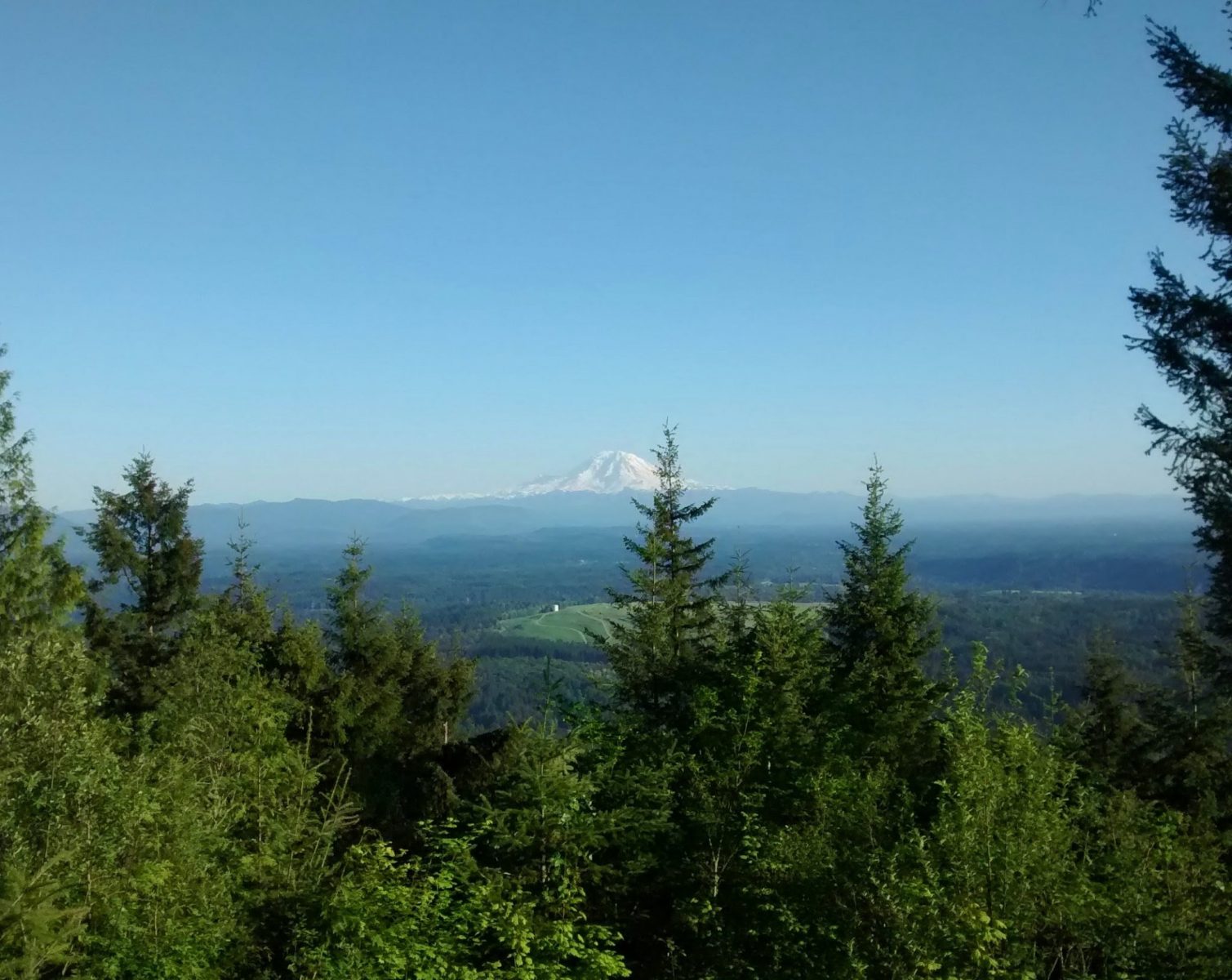 Mt Rainier in the distance across a valley on a sunny day. It is framed by evergreen trees in the foreground from the Margaret's way trail, one of the best snow free spring hikes near seattle