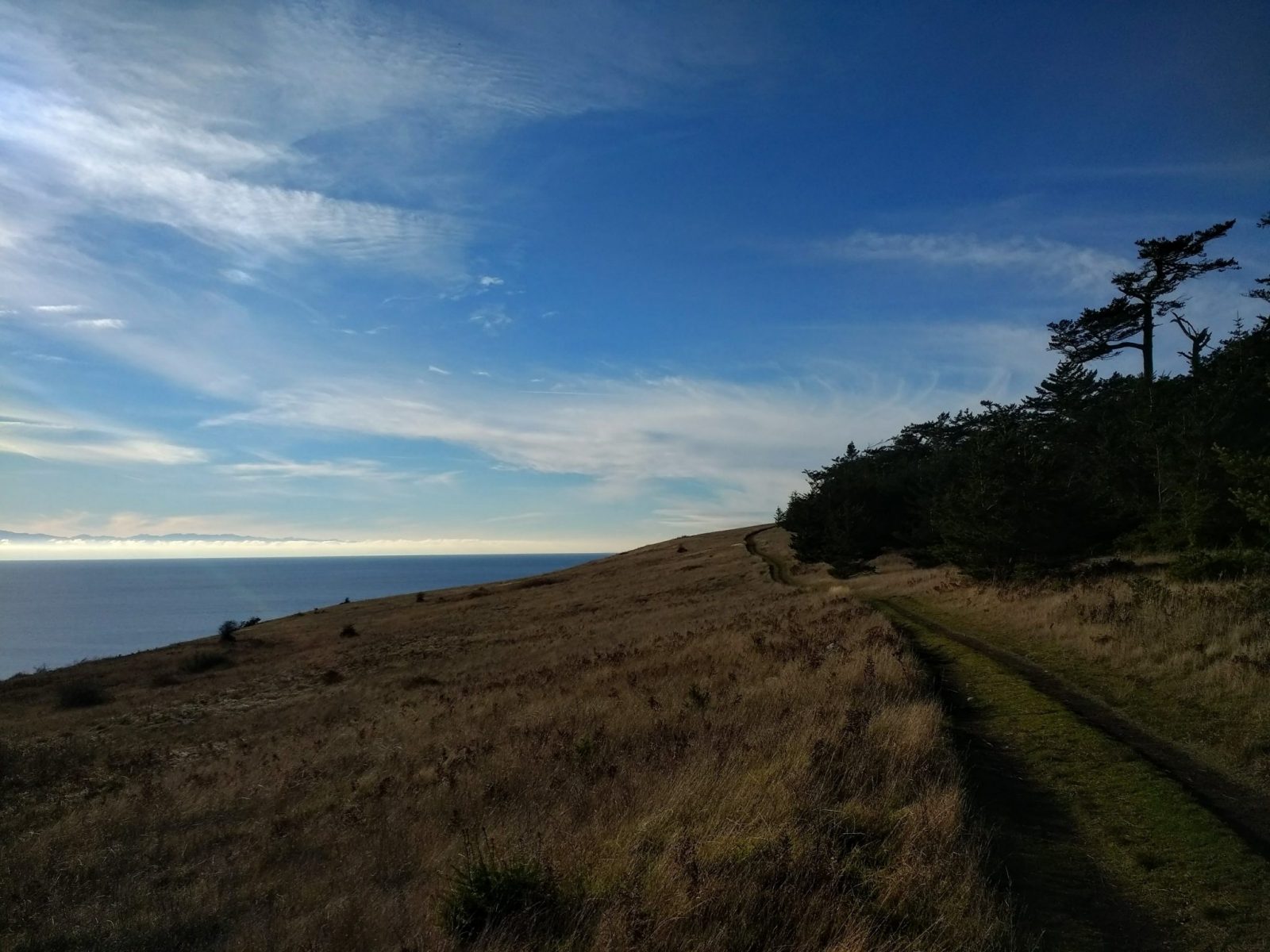 An excellent spring hike near Seattle, the Mt Finlayson trail on San Juan Island. The trail is wide, like an abandoned road, and crosses a grassy field between a forest and the water below.