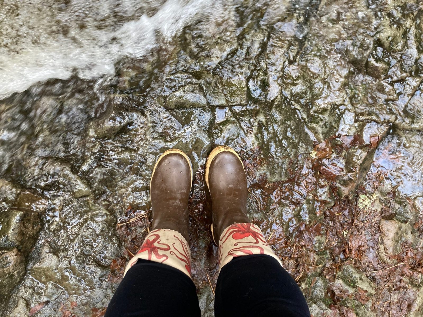 A person's legs wearing leggings and rubber boots standing at the edge of a creek on a winter hike