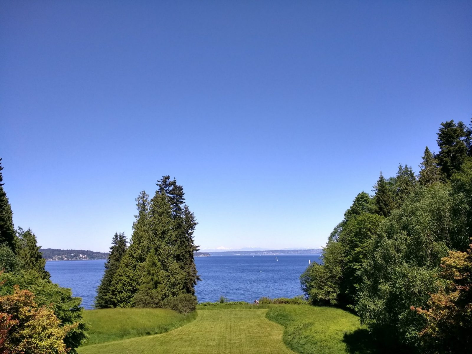 Blue skies and blue water in the distance framed by green grass and evergreen trees in Bloedel Reserve on Bainbridge Island