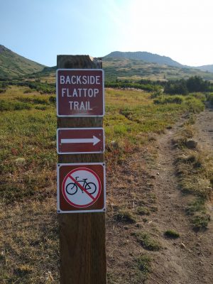 A trail heading up a meadow with a meadow in the background. In the foreground is a brown trail sign which says "backside flattop trail" with an arrow and a "no bikes"
