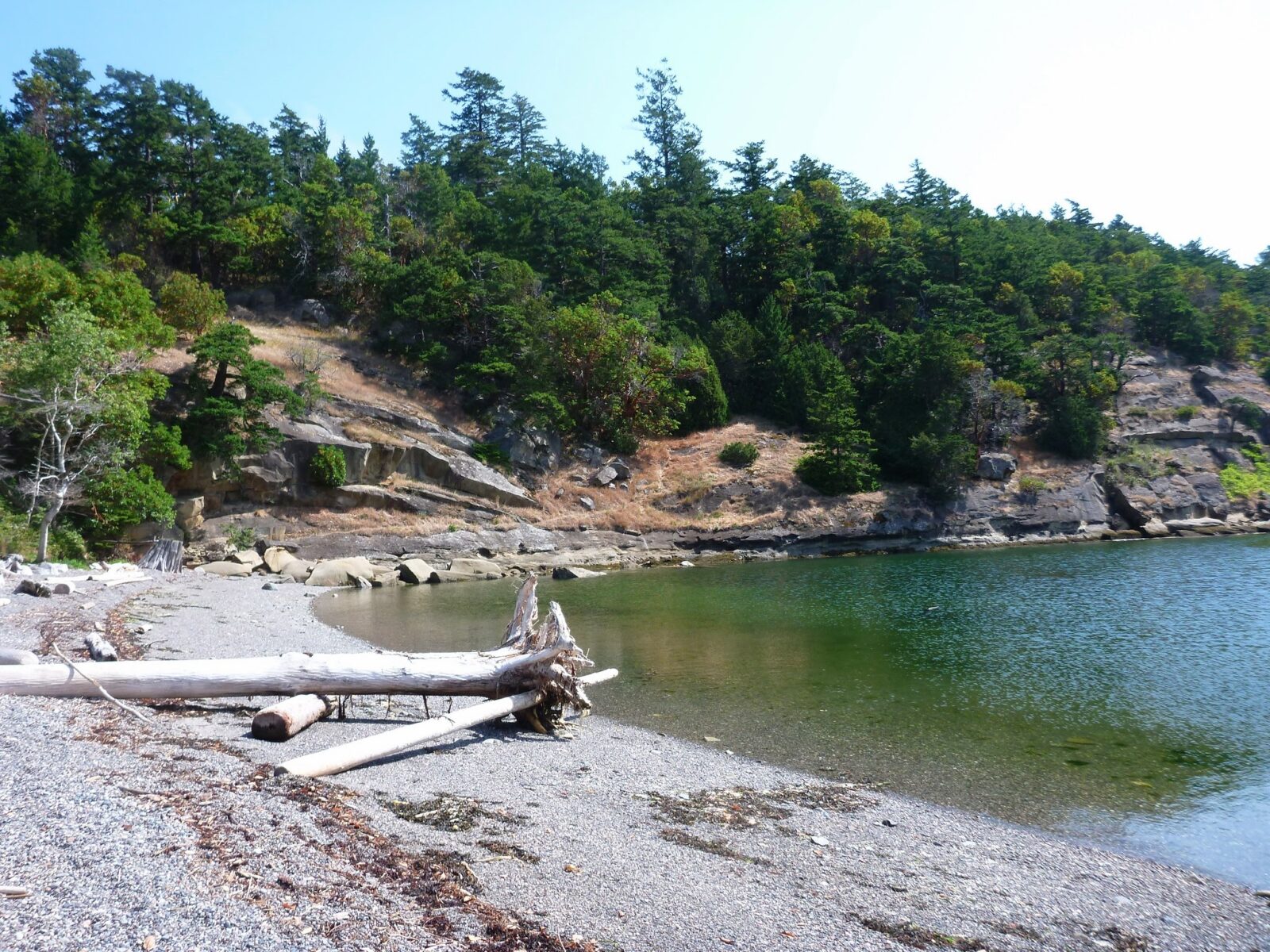 A gravel beach on Sucia Island. The water is shallow and blue green color. The sky is washed out and there are rocky outcroppings around the bay with some trees. There is a long piece of driftwood on the beach