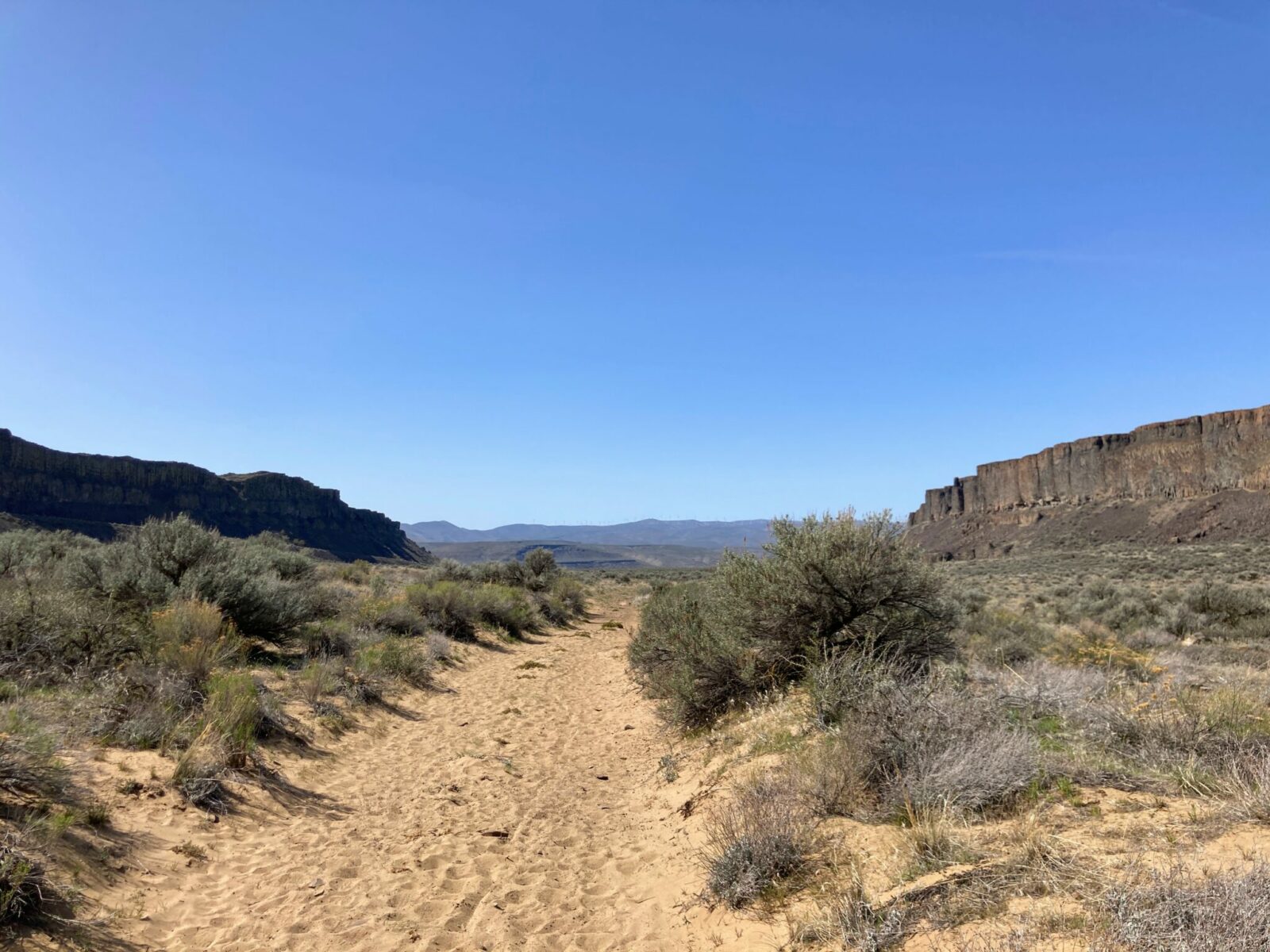 Frenchman coulee is lined with black and brown vertical columnar basalt and a floor of sand and sage brush. In the distance are more high hills