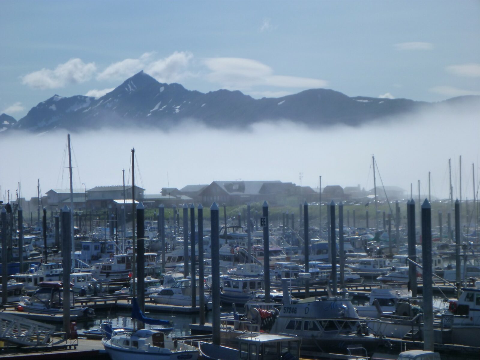 The Homer small boat harbor with many pleasure and fishing boats tied up at the docks. There are low buildings behind the harbor and low fog over the water. Above the fog mountains are rising up 