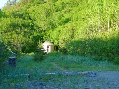 A yurt in the forest