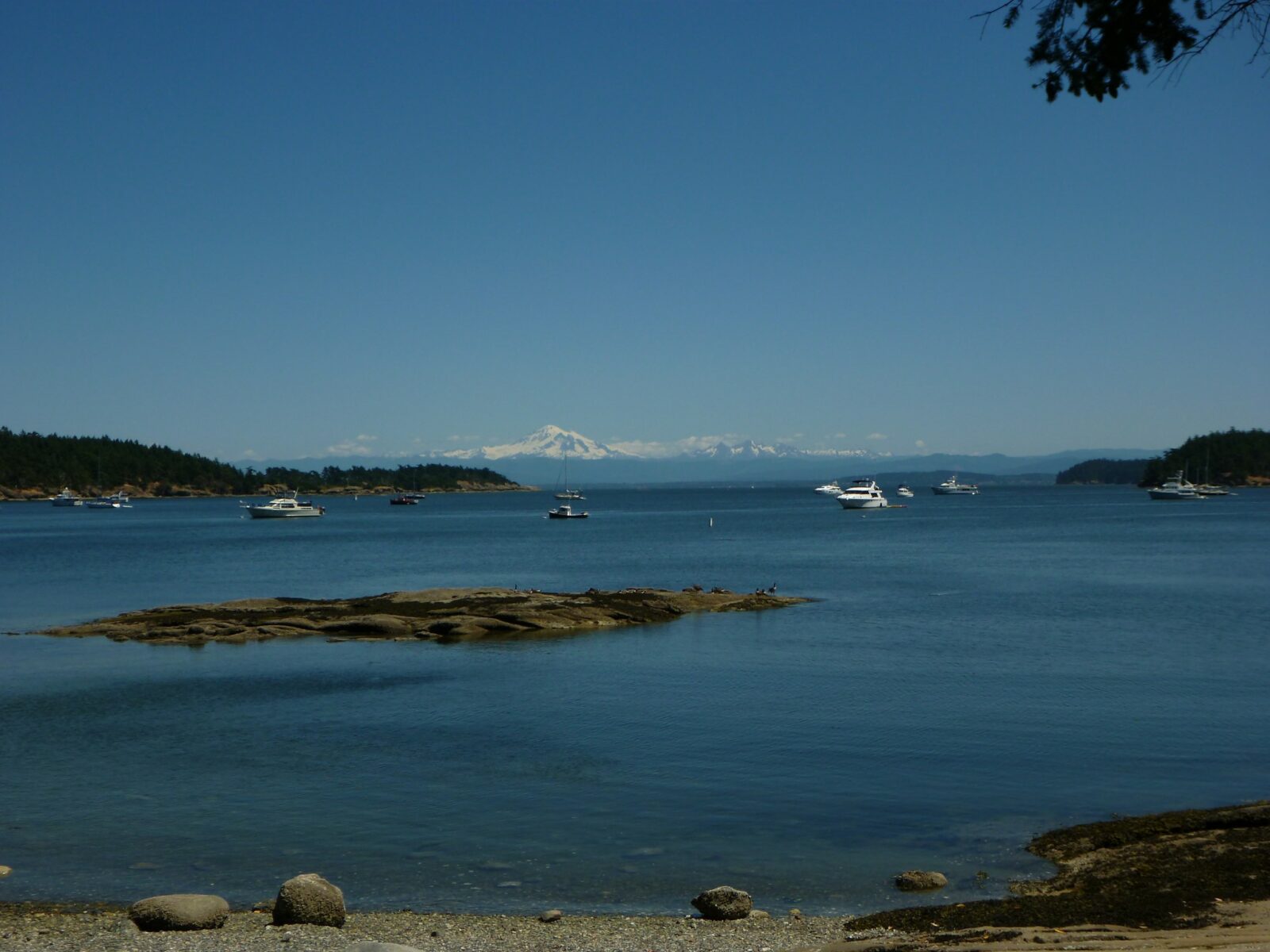 Echo Bay on Sucia Island with many pleasure boats tied to mooring buoys. There are rocky bits around and in the bay and it is surrounded by forest. In the distance is Mt Baker, a high snowcapped mountain